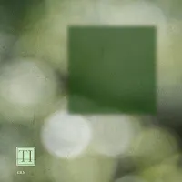 Timothy Infinite — Mint Leaves — обложка